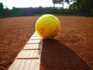 Hűtlen kezelés miatt indult ügyészségi nyomozás a teniszszövetségnél